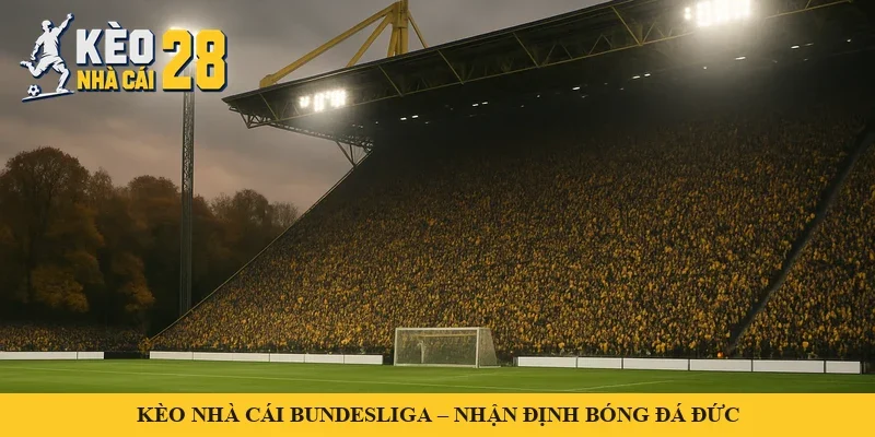 Khán đài đứng dốc kín cổ động viên tại sân vận động Đức – minh hoạ kèo nhà cái Bundesliga