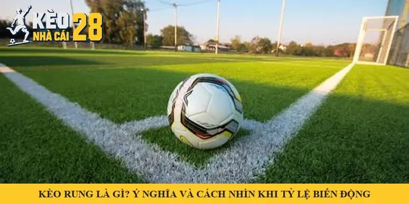 Kèo Rung Là Gì? Ý Nghĩa Và Cách Nhìn Khi Tỷ Lệ Biến Động