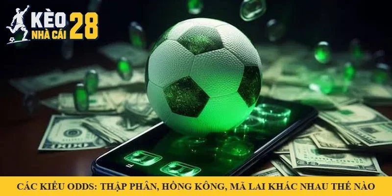 Các Kiểu Odds: Thập Phân, Hồng Kông, Mã Lai Khác Nhau Thế Nào